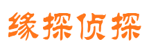 新民侦探